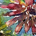 Red Sunflower