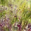 Chive Garden